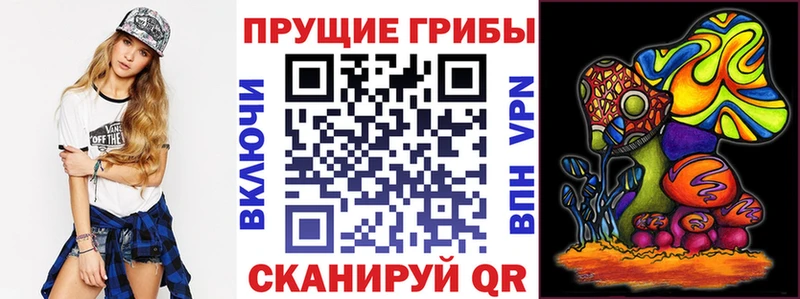 где купить наркотик  даркнет клад  Псилоцибиновые грибы MAGIC MUSHROOMS  Дудинка 
